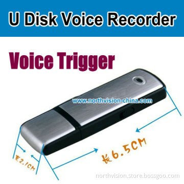 Hot Selling 4GB USB Voice Recorder with Voice Activation